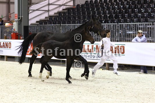 PRINCESS LIESA_MILANO_2010_SS3_7444.jpg